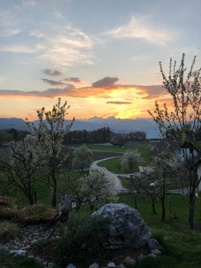 Apartma Romana Spodnji Otok Luaran gambar